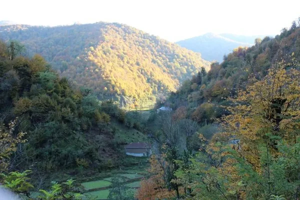 جنگل نقله بر رودبار گیلان گردشگری ایران افق سوم