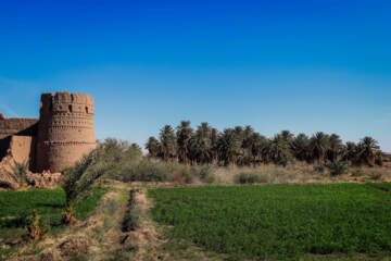 شفیعآباد شهداد، بهترین روستای گردشگری جهان در سال ۲۰۲۵