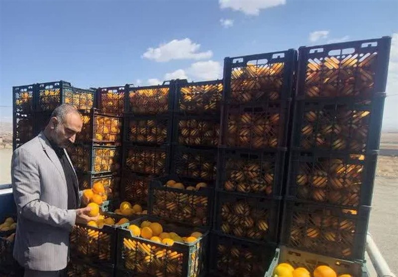 اختصاصی